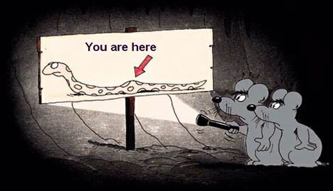 Lost Mice You're Here