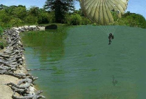 Parachuting into alligator pit