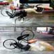 Biking With Umbrella